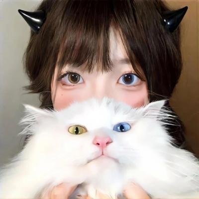 藏珠